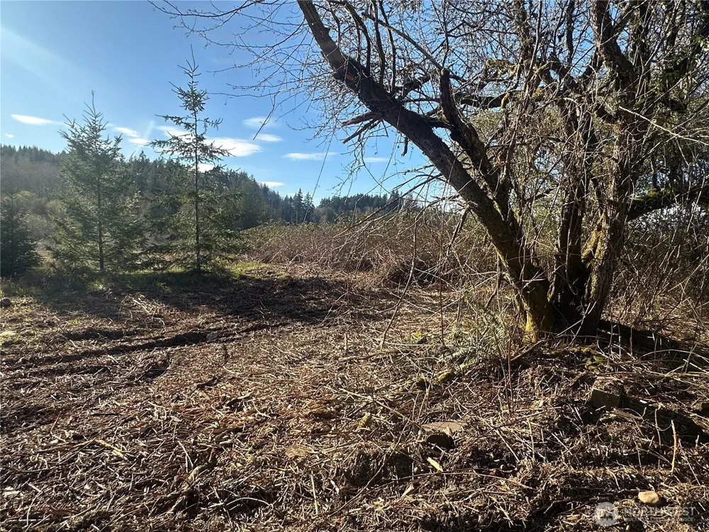 0 xxx Embody Road Port Ludlow, WA 98365