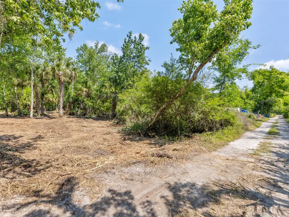 0 MUDDY WATER TRAIL Thonotosassa, FL 33592
