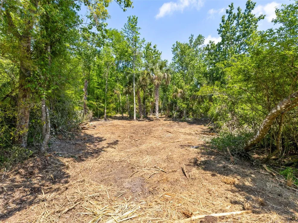0 MUDDY WATER TRAIL Thonotosassa, FL 33592