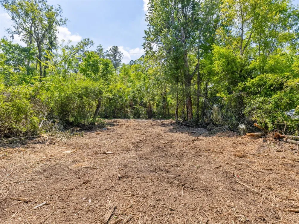 0 MUDDY WATER TRAIL Thonotosassa, FL 33592