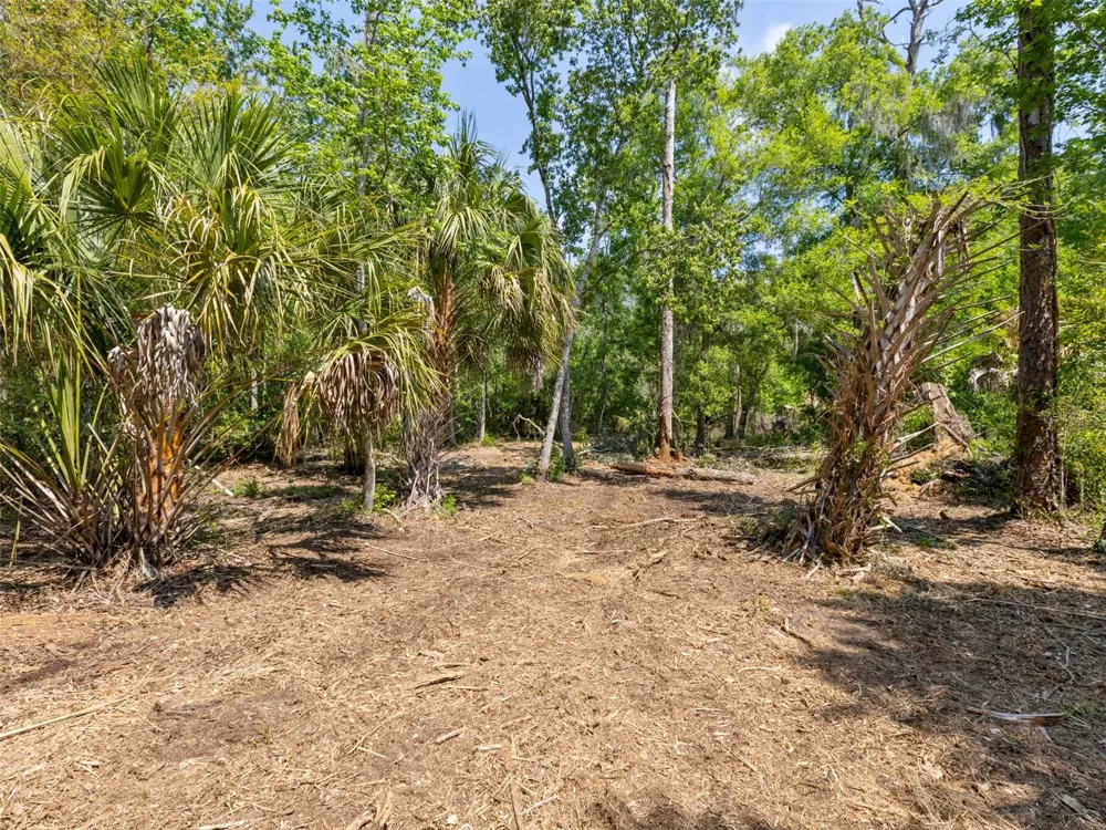 0 MUDDY WATER TRAIL Thonotosassa, FL 33592