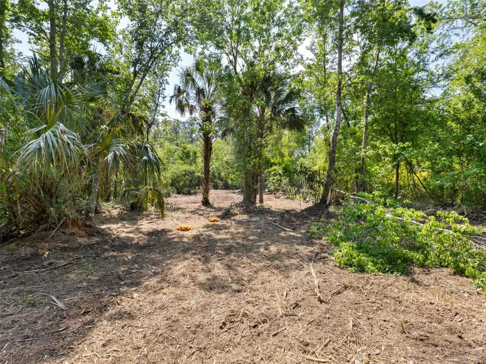 0 MUDDY WATER TRAIL Thonotosassa, FL 33592