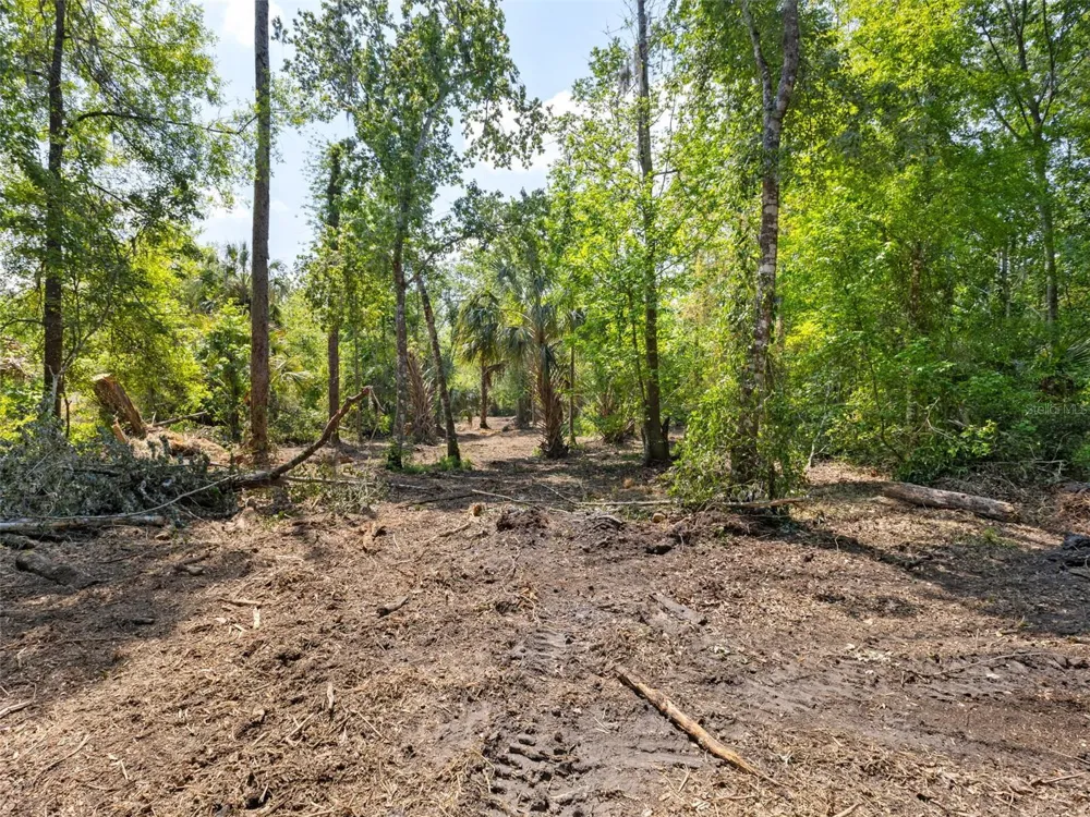 0 MUDDY WATER TRAIL Thonotosassa, FL 33592