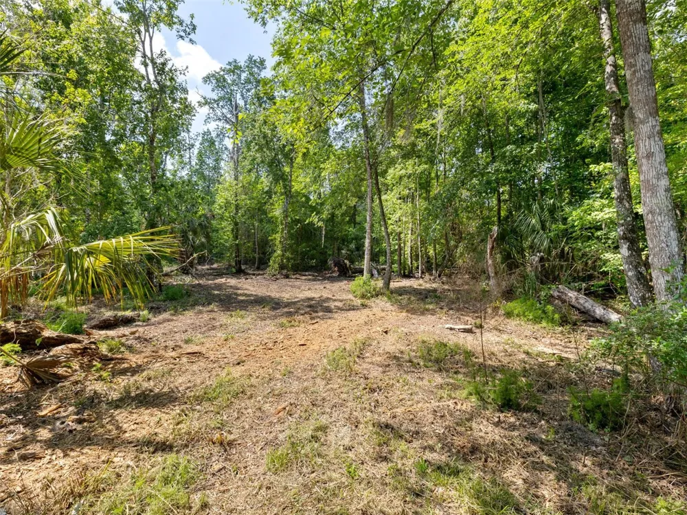 0 MUDDY WATER TRAIL Thonotosassa, FL 33592
