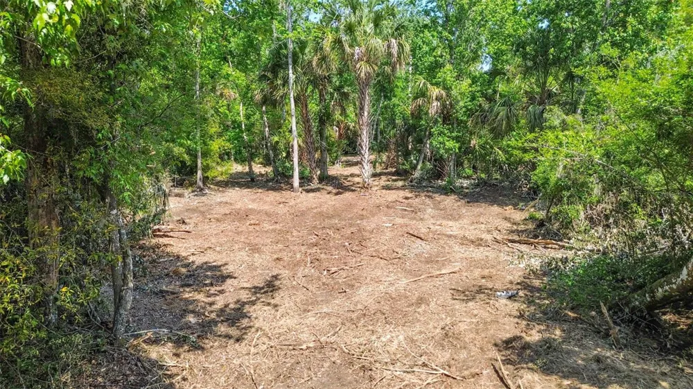 0 MUDDY WATER TRAIL Thonotosassa, FL 33592