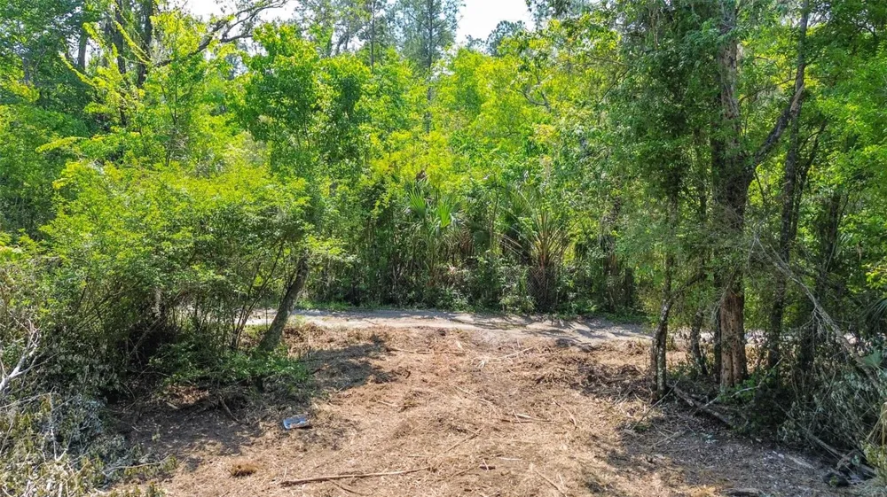 0 MUDDY WATER TRAIL Thonotosassa, FL 33592