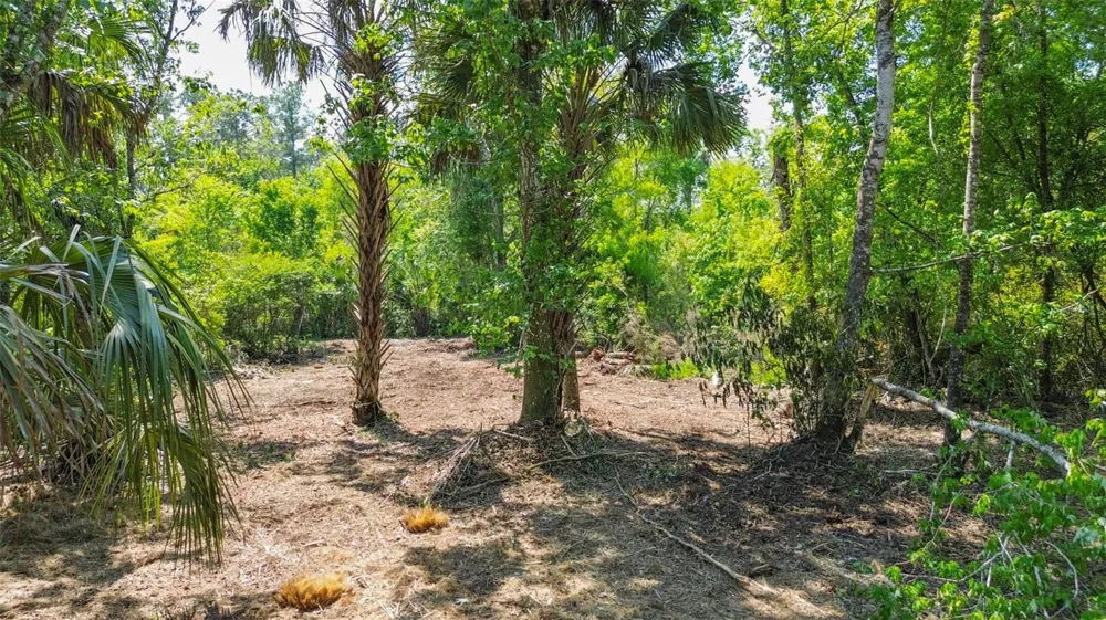 0 MUDDY WATER TRAIL Thonotosassa, FL 33592