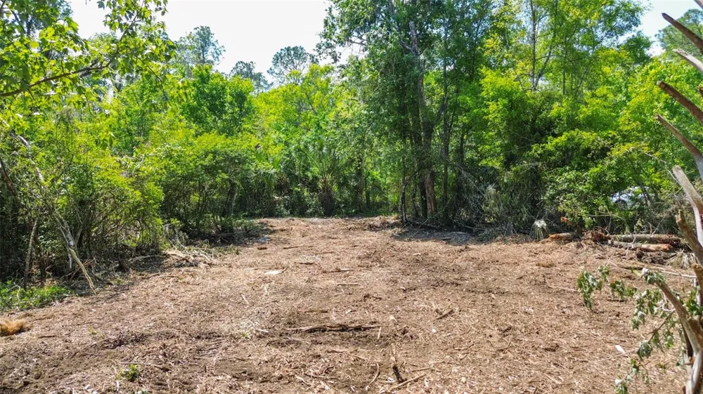 0 MUDDY WATER TRAIL Thonotosassa, FL 33592