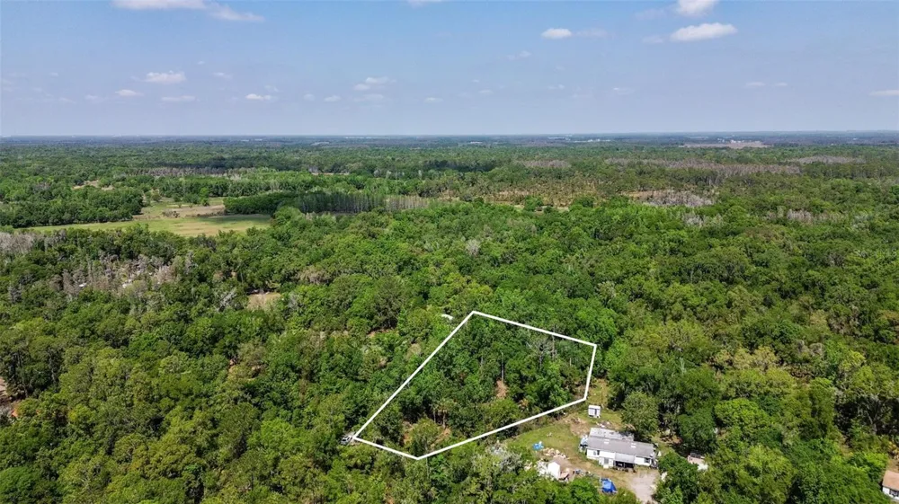 0 MUDDY WATER TRAIL Thonotosassa, FL 33592