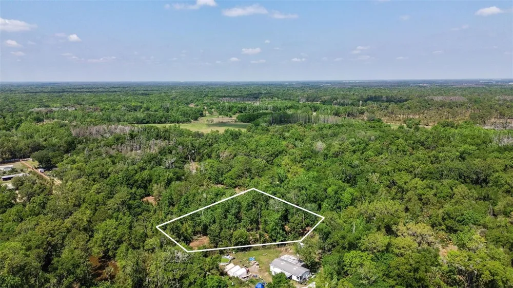 0 MUDDY WATER TRAIL Thonotosassa, FL 33592