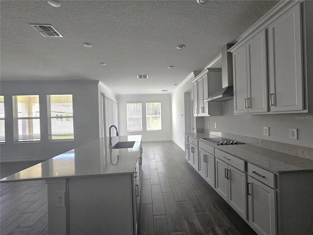 18271 PEARL VIEW PLACE Lutz, FL 33548