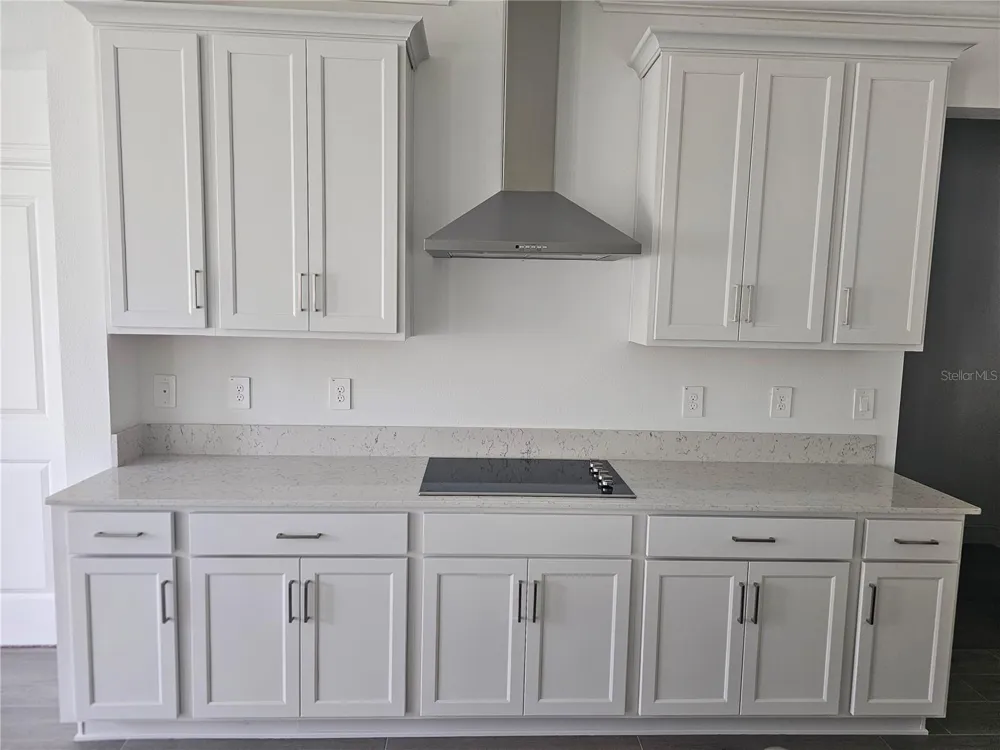 18271 PEARL VIEW PLACE Lutz, FL 33548
