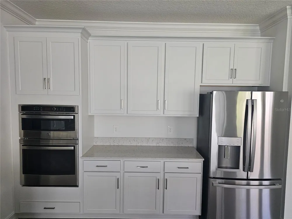 18271 PEARL VIEW PLACE Lutz, FL 33548