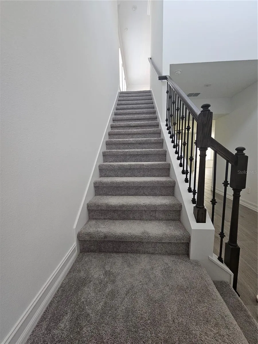 18271 PEARL VIEW PLACE Lutz, FL 33548
