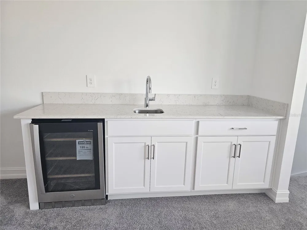 18271 PEARL VIEW PLACE Lutz, FL 33548