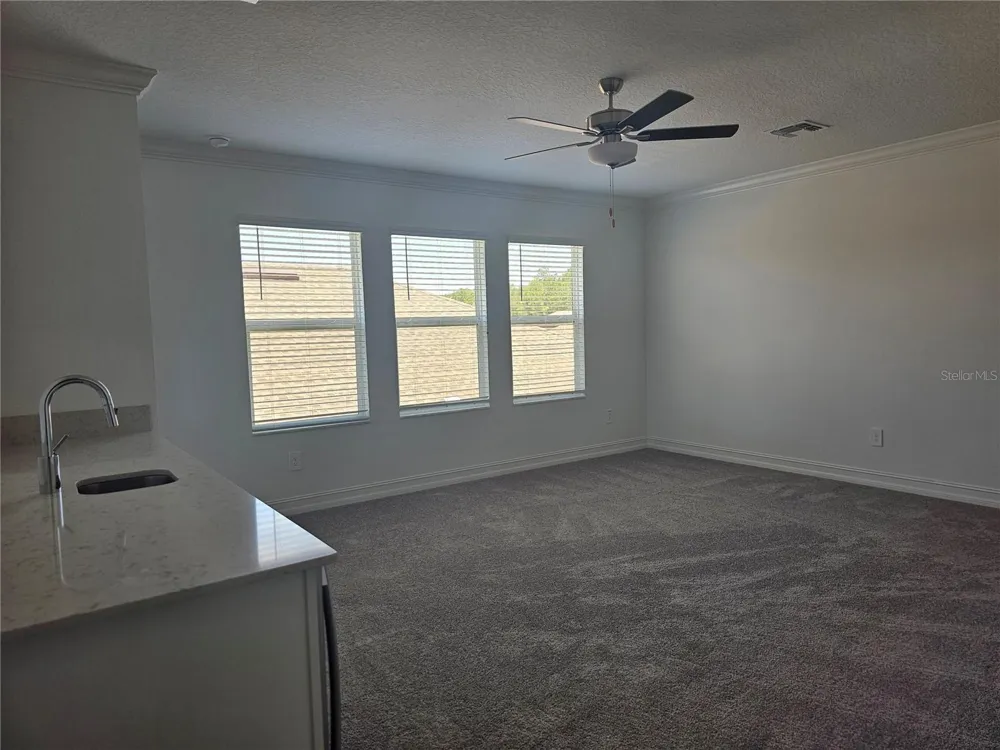 18271 PEARL VIEW PLACE Lutz, FL 33548