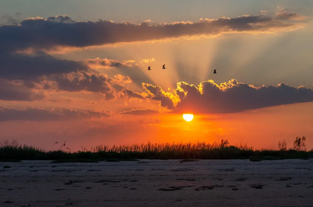 1110 Gulfview Road Bolivar Peninsula, TX 77650