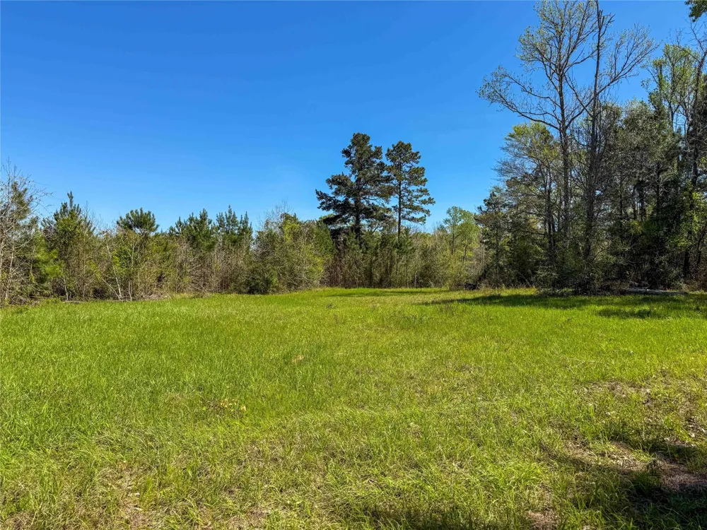 Fm 946 Coldspring, TX 77331