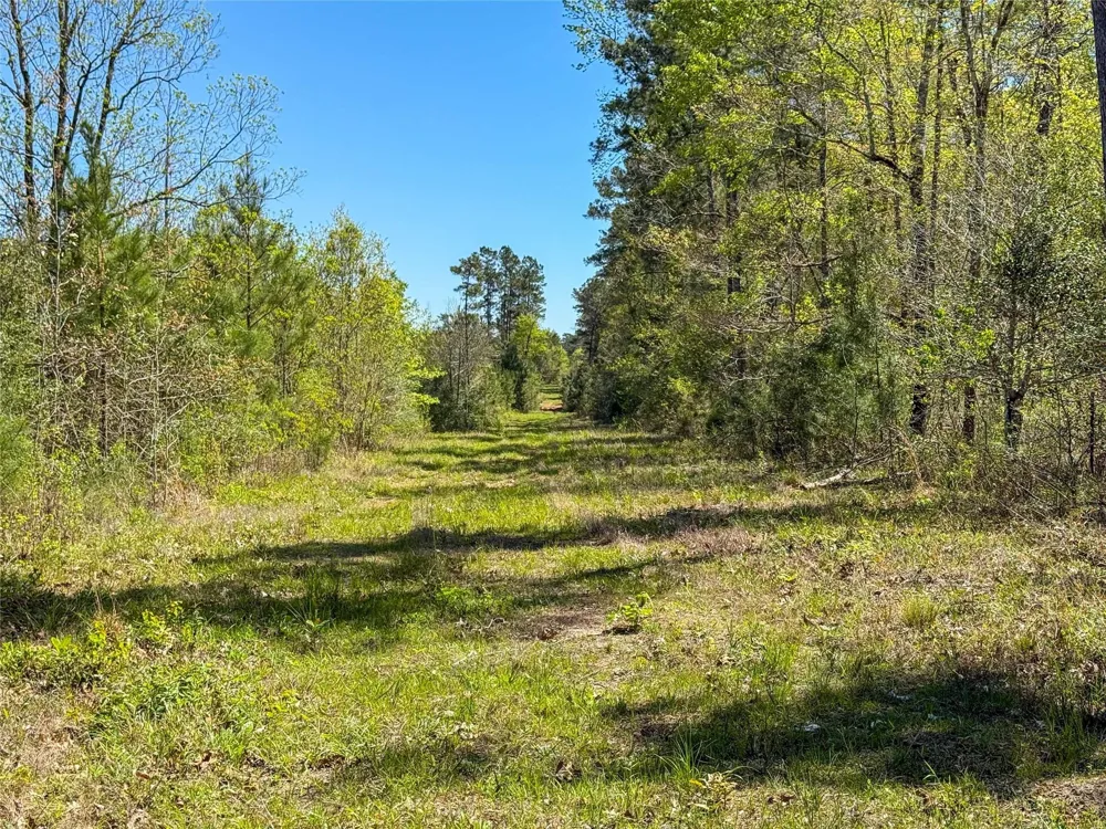 Fm 946 Coldspring, TX 77331