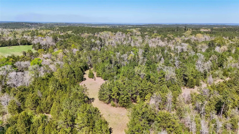 Fm 946 Coldspring, TX 77331