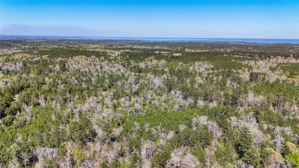 Fm 946 Coldspring, TX 77331