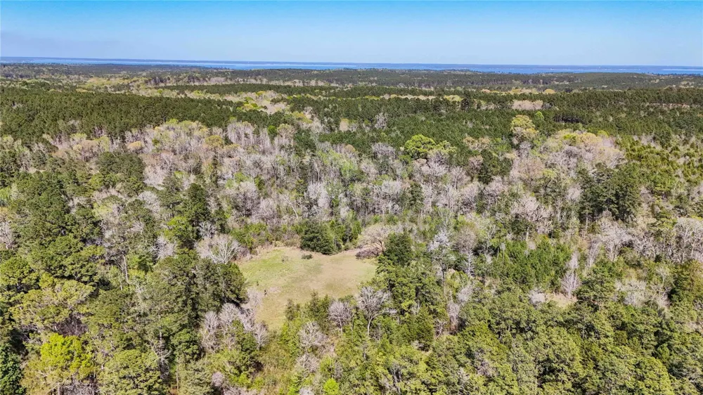 Fm 946 Coldspring, TX 77331