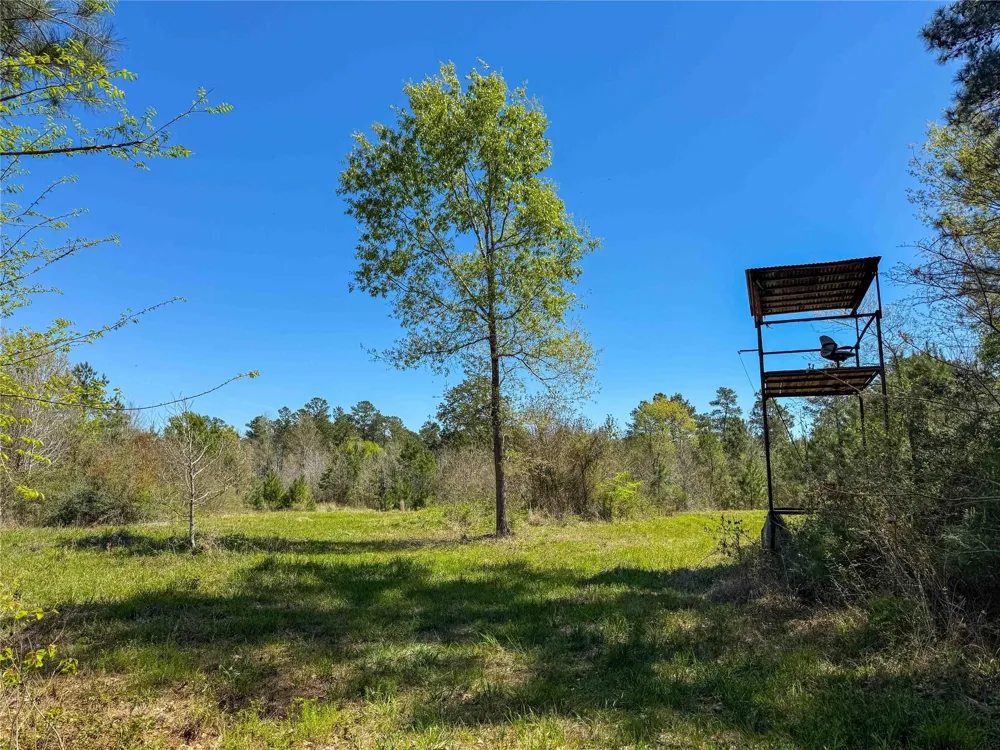 Fm 946 Coldspring, TX 77331