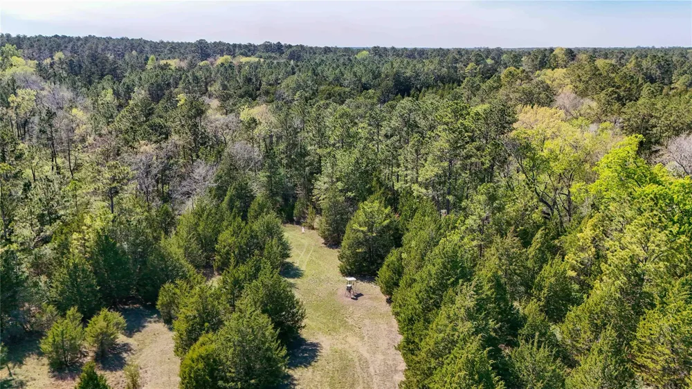 Fm 946 Coldspring, TX 77331