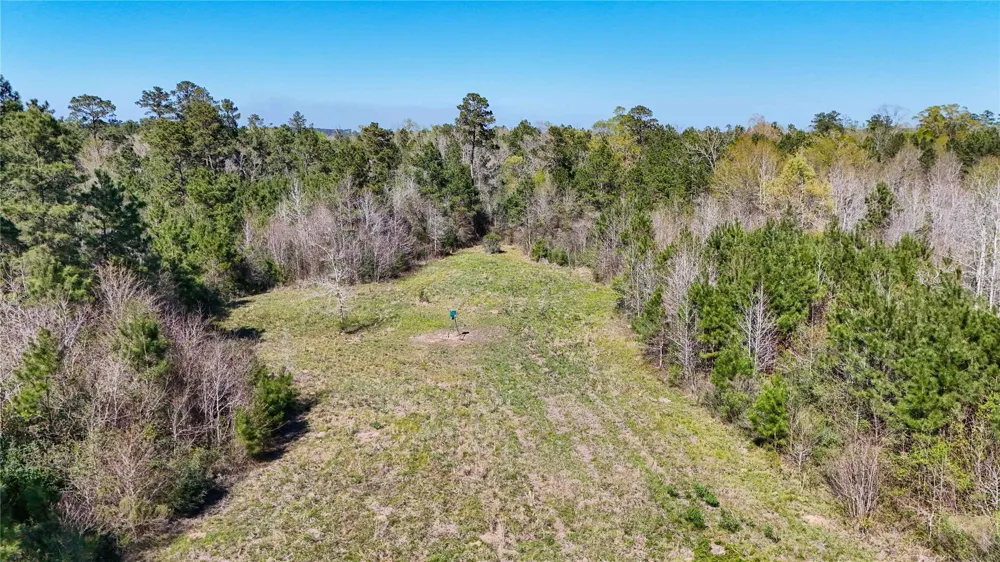 Fm 946 Coldspring, TX 77331