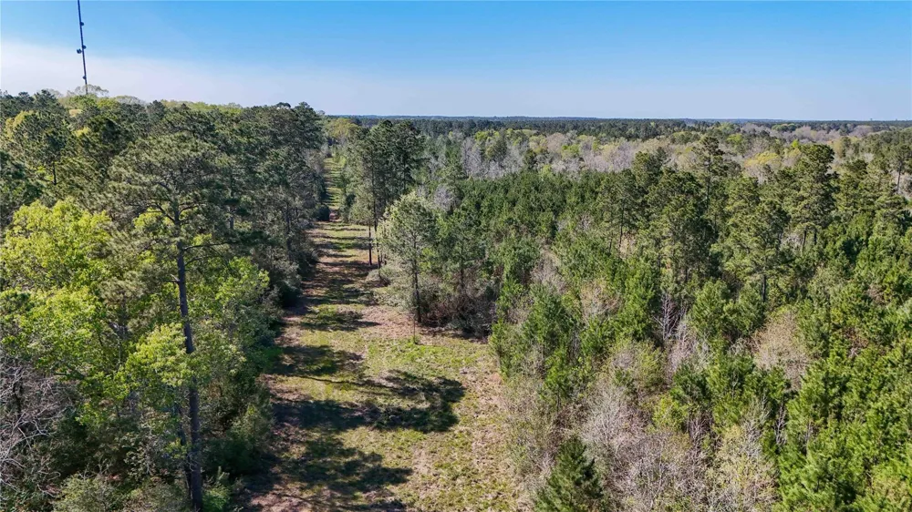 Fm 946 Coldspring, TX 77331