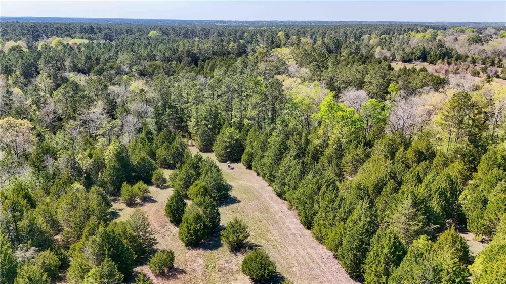 Fm 946 Coldspring, TX 77331