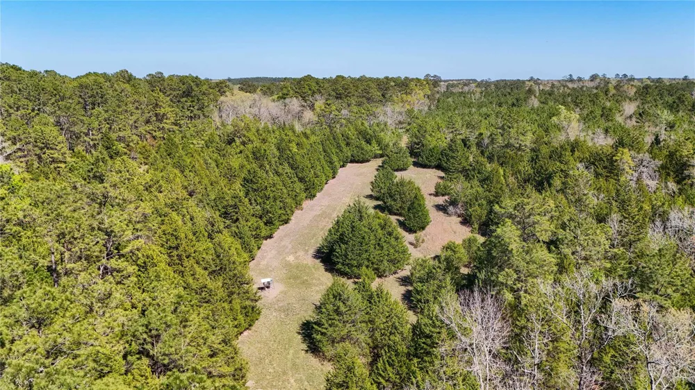 Fm 946 Coldspring, TX 77331
