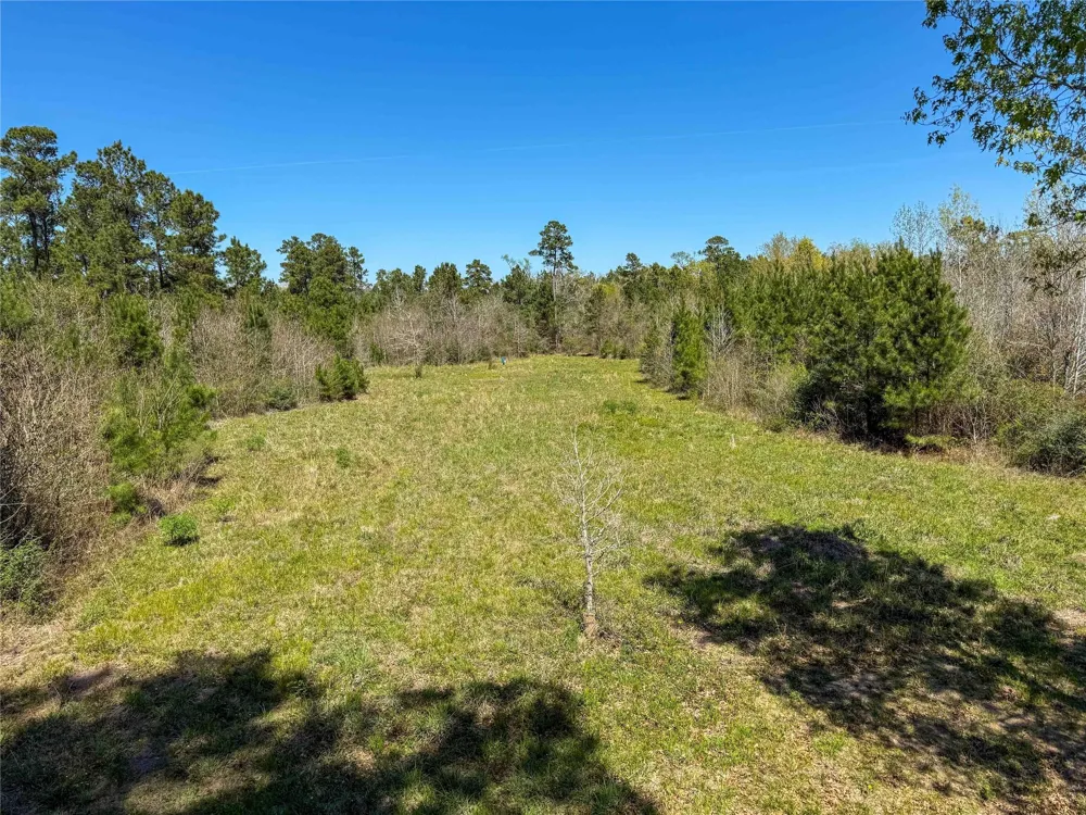 Fm 946 Coldspring, TX 77331