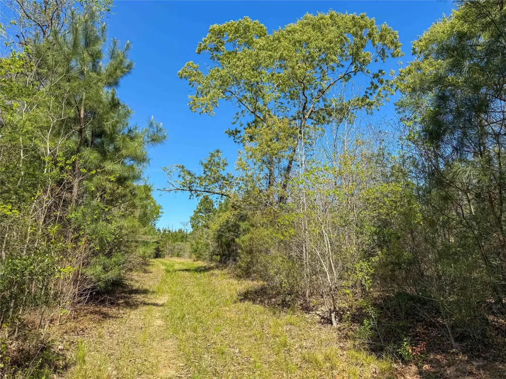 Fm 946 Coldspring, TX 77331