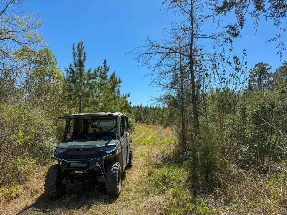 Fm 946 Coldspring, TX 77331