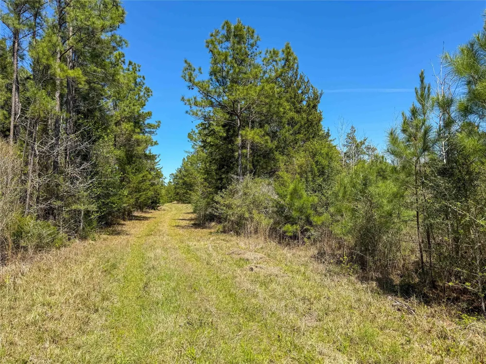 Fm 946 Coldspring, TX 77331
