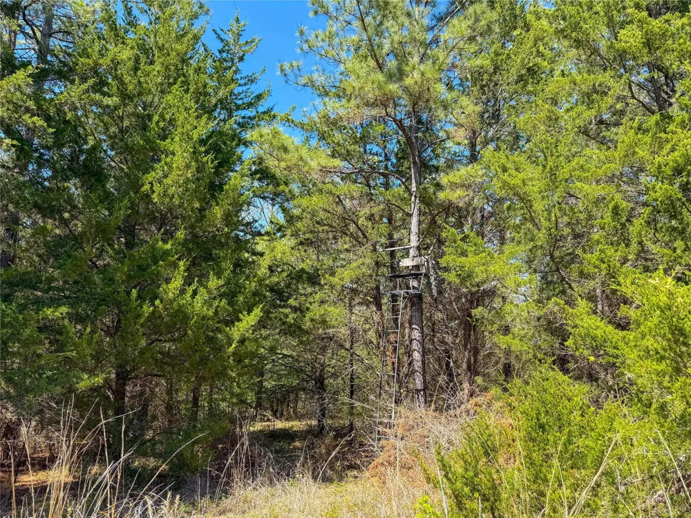 Fm 946 Coldspring, TX 77331