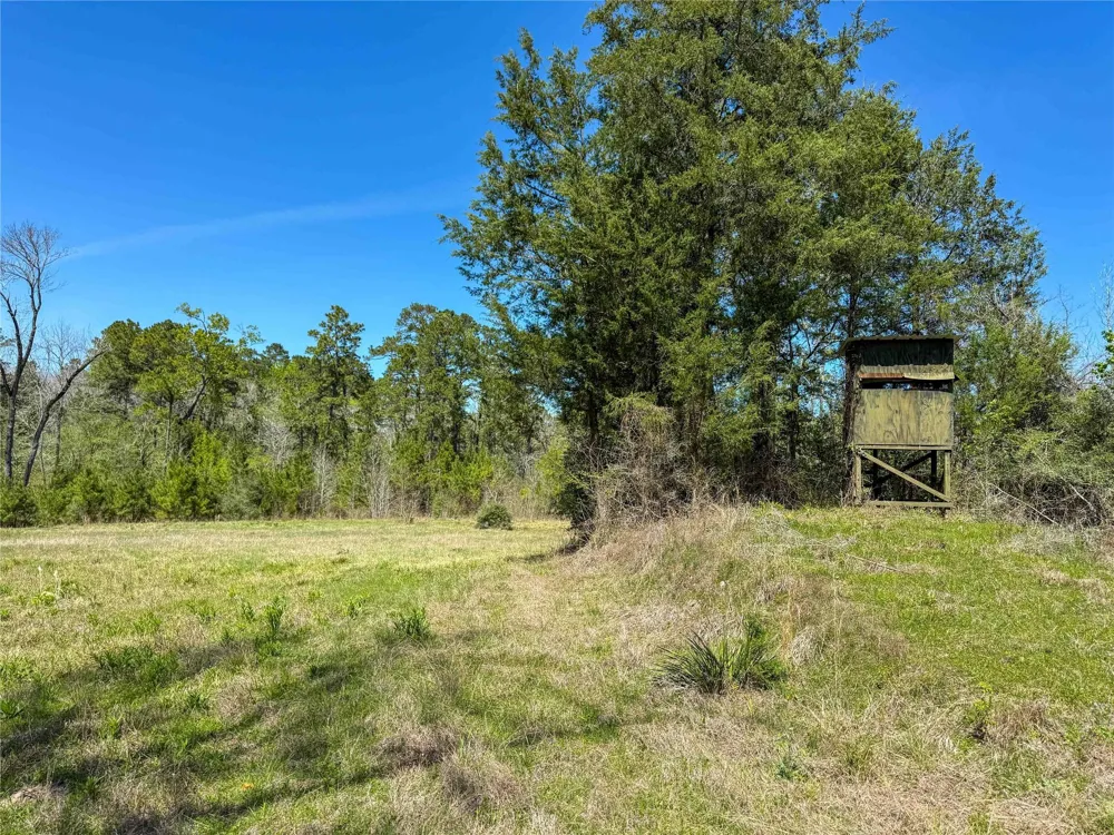 Fm 946 Coldspring, TX 77331