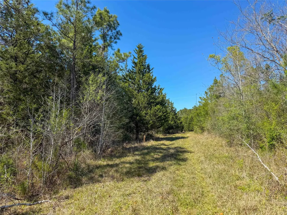 Fm 946 Coldspring, TX 77331