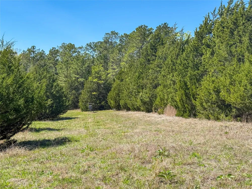 Fm 946 Coldspring, TX 77331