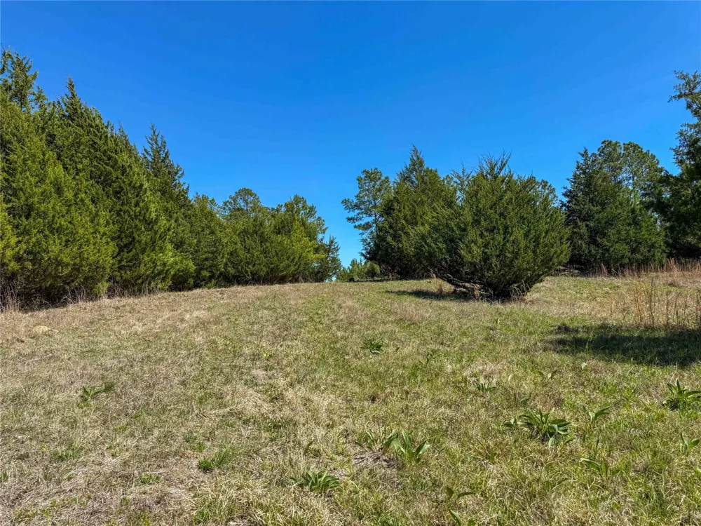 Fm 946 Coldspring, TX 77331