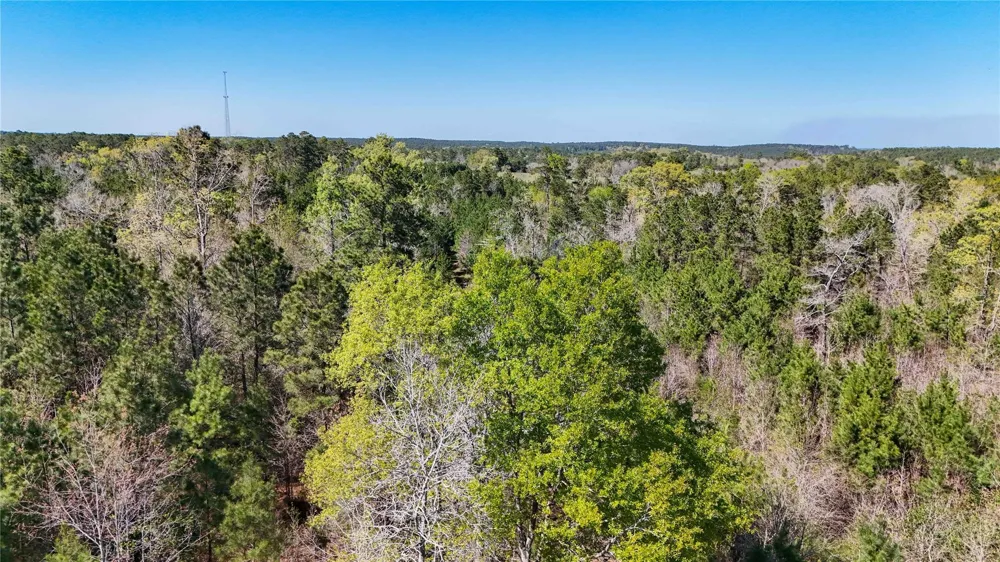 Fm 946 Coldspring, TX 77331