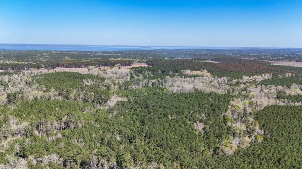 Fm 946 Coldspring, TX 77331
