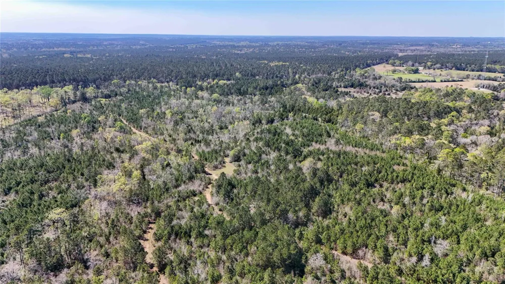 Fm 946 Coldspring, TX 77331