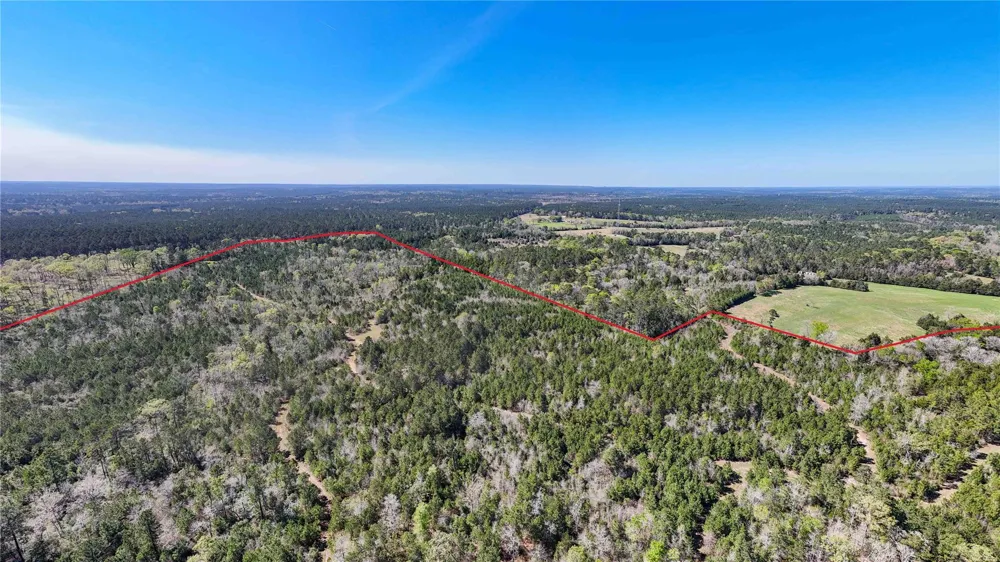 Fm 946 Coldspring, TX 77331