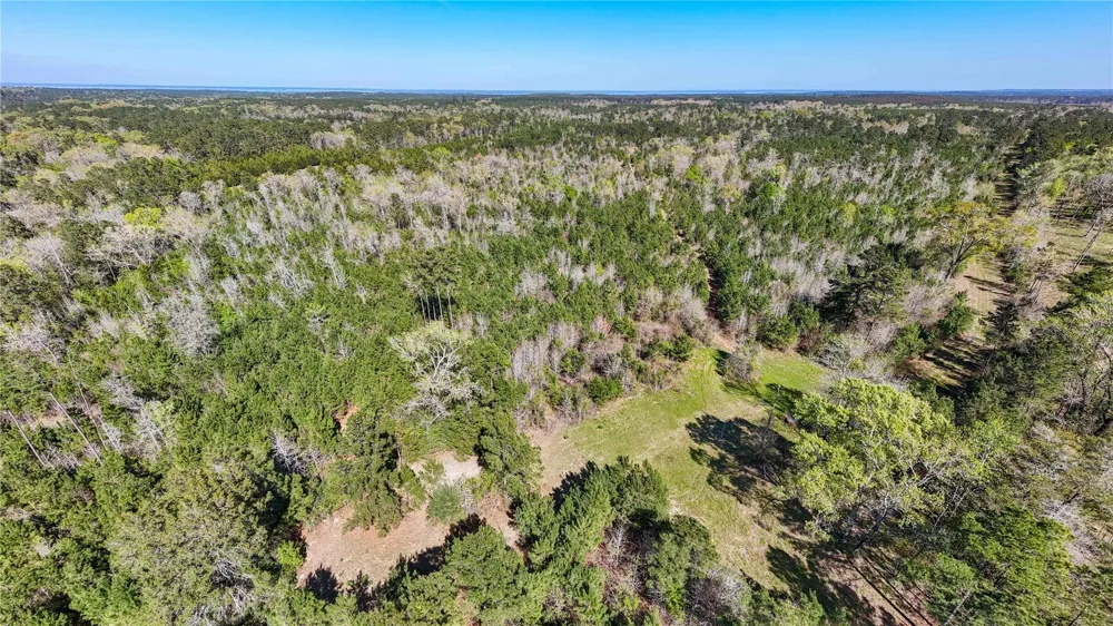 Fm 946 Coldspring, TX 77331