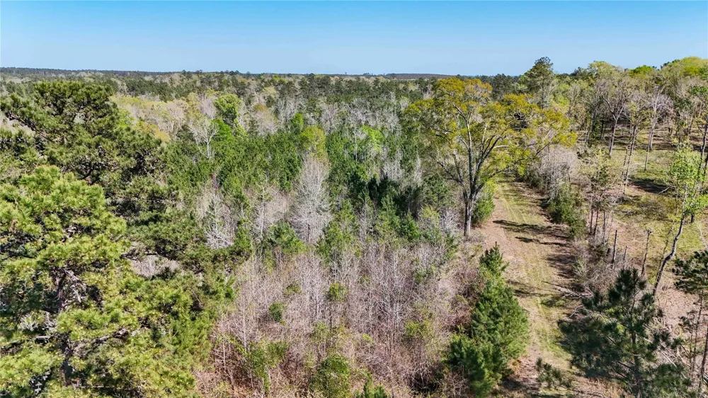 Fm 946 Coldspring, TX 77331