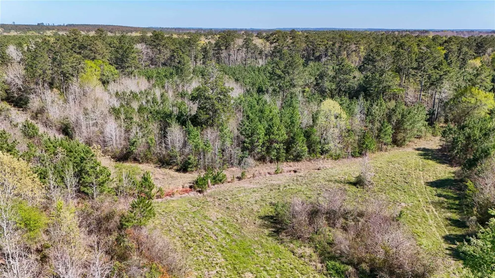 Fm 946 Coldspring, TX 77331