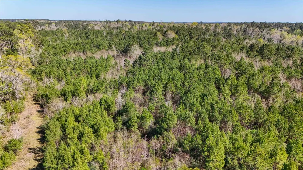Fm 946 Coldspring, TX 77331