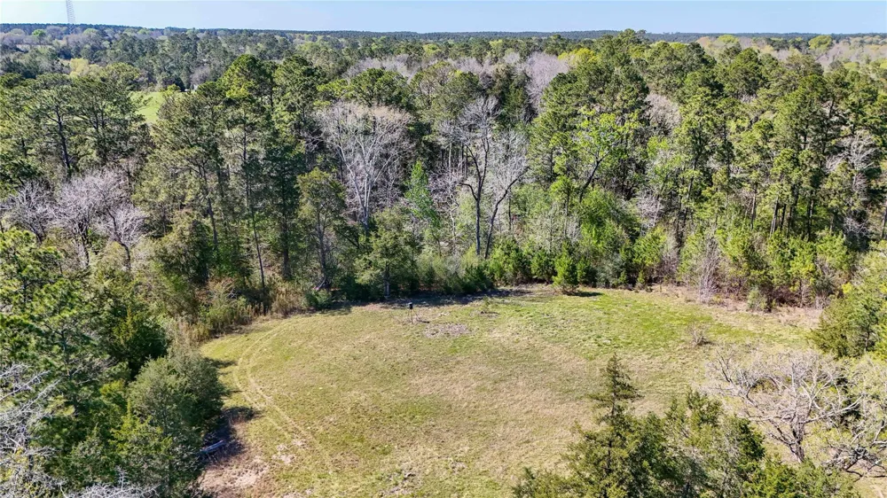 Fm 946 Coldspring, TX 77331
